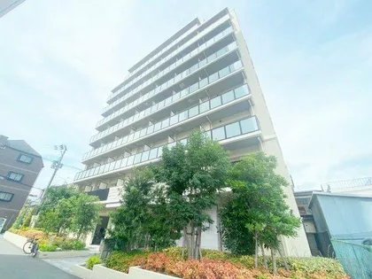 LA DOUCEUR放出の画像