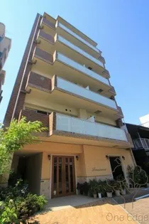 ルネサンスの画像