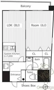 CHEZ CLARA【8階】の間取り