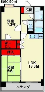 ルシオーレ【5階】の間取り
