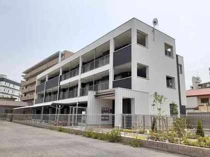 パンプキン クィーンの画像