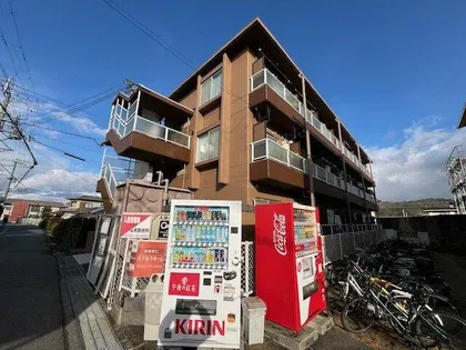 ハイツタキダニの画像