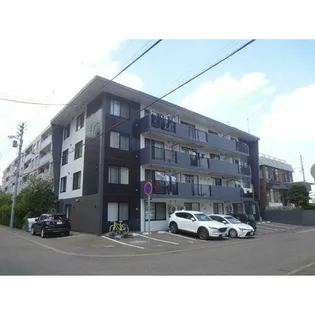 スターコートの画像