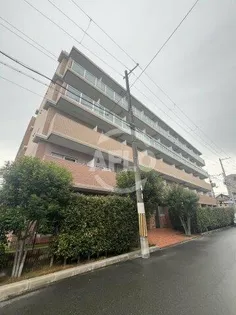 アイズグランデの画像