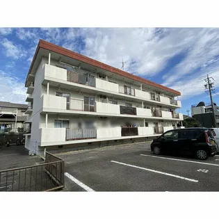エターナルドエル錦の画像