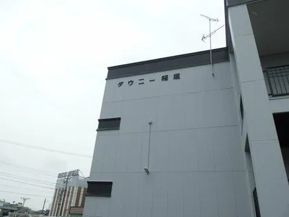タウニー稲垣の画像