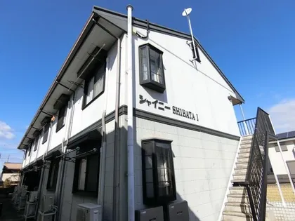 シャイニーSHIBATAⅠの画像