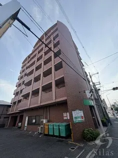 IBC中百舌鳥の画像