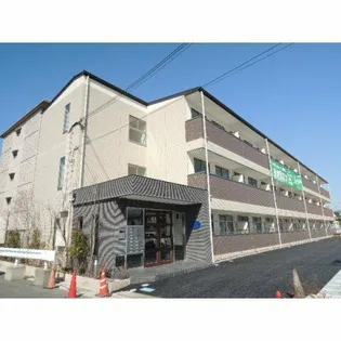 フレンセの画像