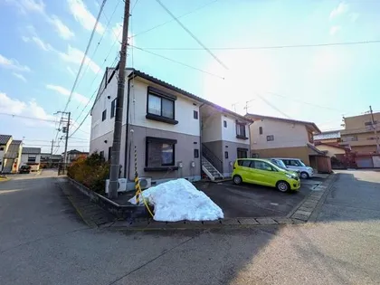 ルピナスAの画像