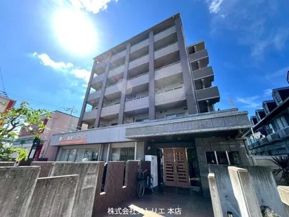 コンフォートエヌズの画像