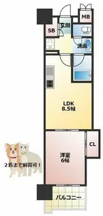 マスターズ・レジデンス道頓堀Ⅲ【3階】の間取り