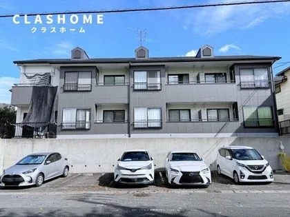 シャリテの画像