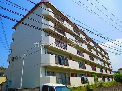 ハイツマルニシの画像