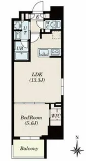 Dimus北浜【14階】の間取り