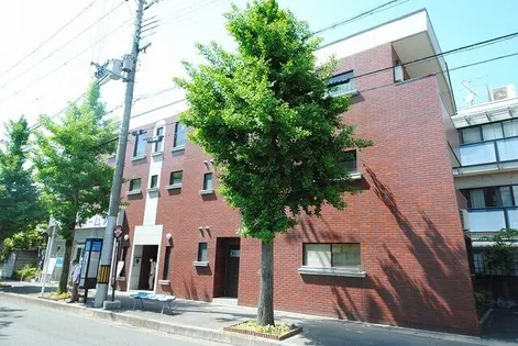 まちゃまちゃの画像