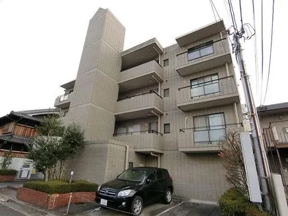 キャピタルサルートの画像