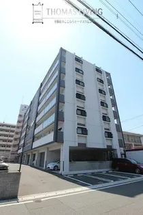 ピースグレースの画像