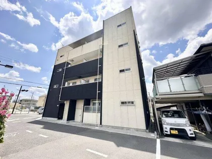 エヌエムトラントキャトフの画像