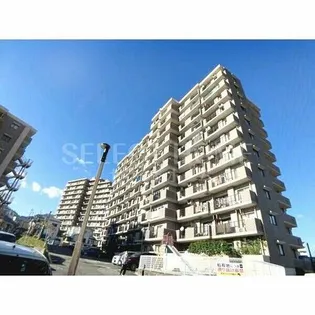 シャトー岡崎Ⅱ番館【9階】の外観