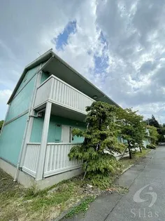 プチ グリーンの画像