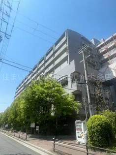 コーシャハイツ喜連西の画像