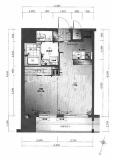 サヴォイ マキシマイズ博多ステーション【14階】の間取り