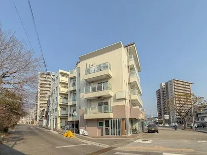 ミストラル摩耶の画像