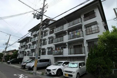 ハピネスの画像