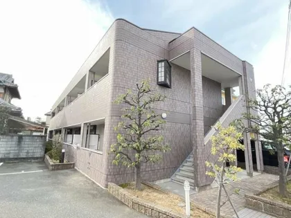 コーラルの画像