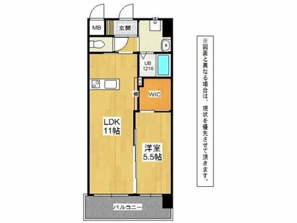 メディプラカーサ【7階】の間取り