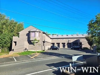 セザンヌ野依の画像