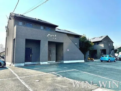 セザンヌ内張の画像