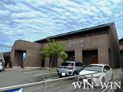 セザンヌ佐藤の画像