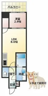 GARDENIA城北公園【10階】の間取り