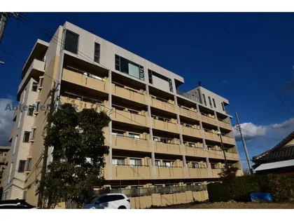 ベルヴィルVIの画像