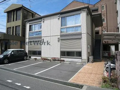 クリプトメリアの画像