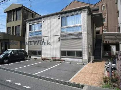 クリプトメリアの画像