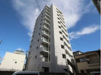 BO BEDRE MIKURIYAの画像