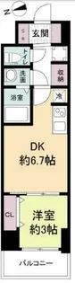 スペーシア日本橋東【15階】の間取り