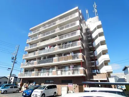 アピオンの画像