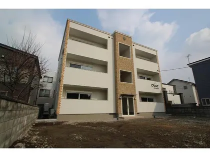 オリーブの画像