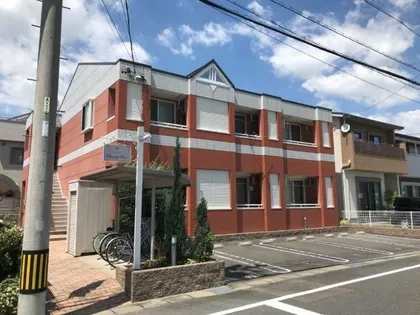 チェリーツリーの画像