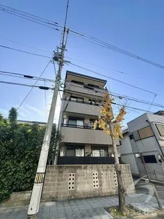 グローリー 11の画像