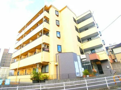 レーヴ和泉【5階】の外観