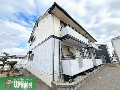 イズミの画像