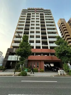 ヴィーラブライトの画像