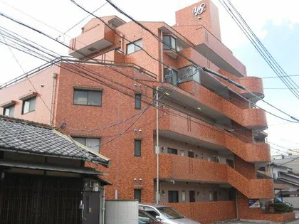 グレースホリベ2の画像