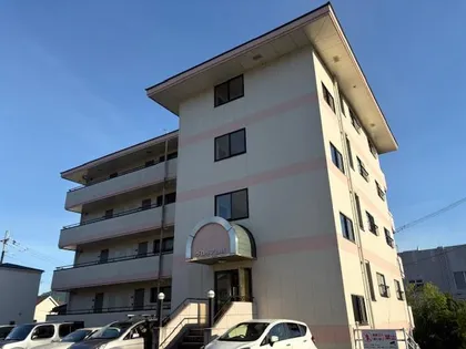 グロリア山崎の画像