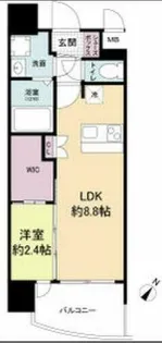 セレニテ阿波座ミラク【3階】の間取り